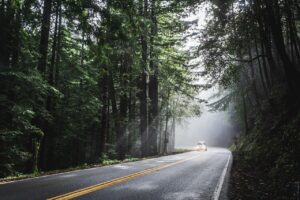 car, sunlight, forest, road, street, avenue, trees, woods, woodlands, drive, road trip, vehicle, transportation, nature, travel, rural, scenic, transport, car wallpapers, way, trip, countryside, asphalt, journey, landscape