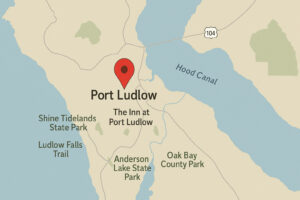 Bald eagle perched near the shoreline showing wildlife near Port Ludlow in a natural coastal setting