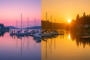Sunny marina view and blooming coastal trails showing the best time to visit Port Ludlow during its vibrant spring and summer seasons.