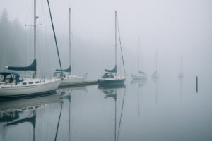 Sunny marina view and blooming coastal trails showing the best time to visit Port Ludlow during its vibrant spring and summer seasons.