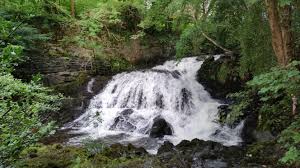 A delicate, misty cascade in the Columbia River Gorge, framed by ferns and moss-covered cliffs, accessible via a shaded forest trail