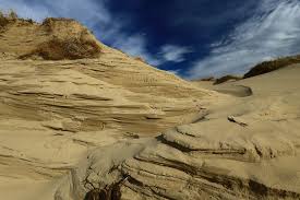 Untouched wilderness with rolling sand dunes, pine forests, and hidden Lake Michigan coves.