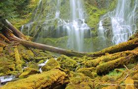 Segmented cascades tumbling down volcanic rock, flanked by golden autumn foliage or icy winter stalactites in the Three Sisters Wilderness.