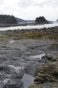 A natural rock arch carved by Pacific tides, framed by tide pools and sea stacks on Olympic National Park’s rugged, pebble-strewn shoreline.