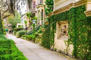 Hidden gems in Savannah, GA, showcasing historic streets and secret spots in the charming city.