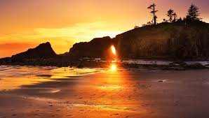 A dramatic Olympic Peninsula beach flanked by sea-carved cliffs, towering sea stacks, and a trail through towering Sitka spruce and cedar forests