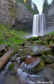 A wide, thundering curtain of water cascading over a massive basalt ledge, with winter ice formations clinging to the cliffs in Mount Hood National Forest.