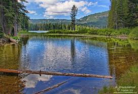 Volcanic peaks mirrored in alpine lakes, surrounded by pine forests and wildflower meadows.