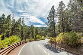 Sky-high ribbon of road through cloud-shrouded Appalachian balds and untouched hardwood forests.