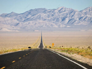 Lonely desert road under vast skies, passing Area 51 warning signs and UFO-themed roadside oddities