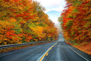 Fall foliage tunnel through the White Mountains, with covered bridges and cascading waterfalls.