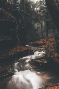 Hocking Hills in Ohio during fall, featuring colorful forest canopies, dramatic cliffs, and serene hiking trails.