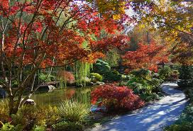 Gibbs Gardens in Ball Ground, Georgia, showcasing peaceful water gardens, Japanese maples, and daffodils